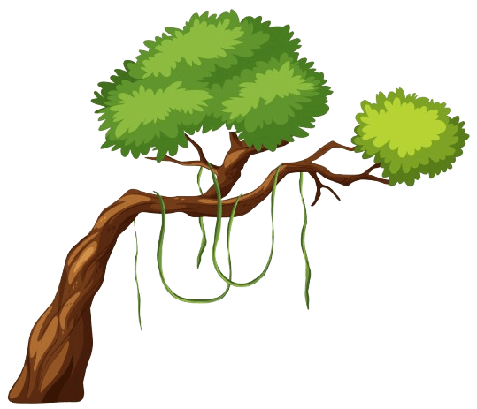 Tree Branch